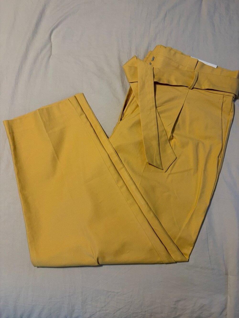 NWT - Ann Taylor Paperbag Waist Wide Leg Pants Women's 14